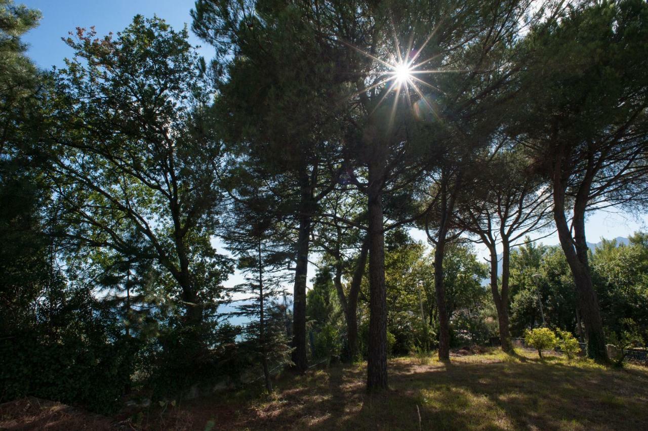 Verde Smeraldo Salerno Esterno foto